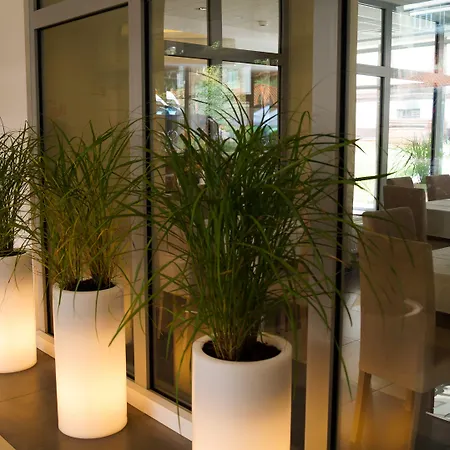 Zorza 2* コウォブジェク