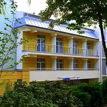 Zorza