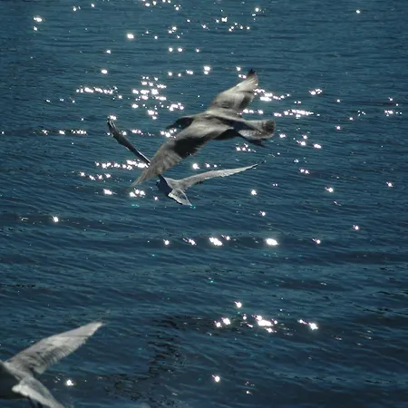 Zorza 호텔 코워브제크