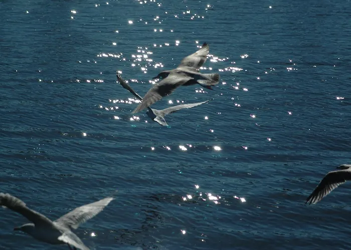 Zorza Hotell Kołobrzeg